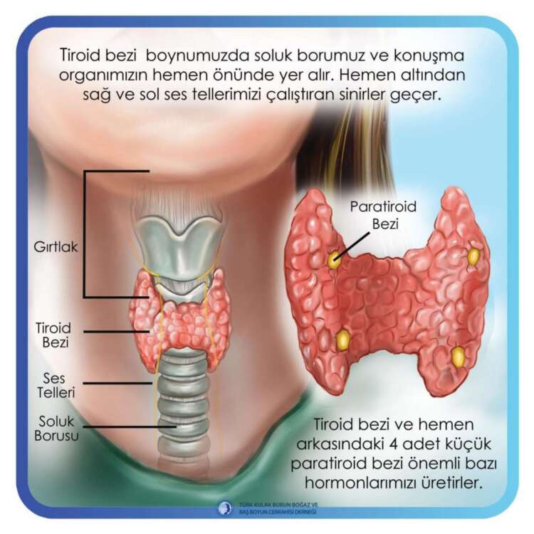 5. tiroid cerrahisi (Thyroid Surgery)_page-0002
